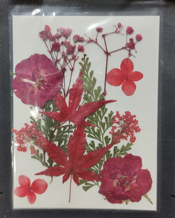 Pressed Flowers- 10