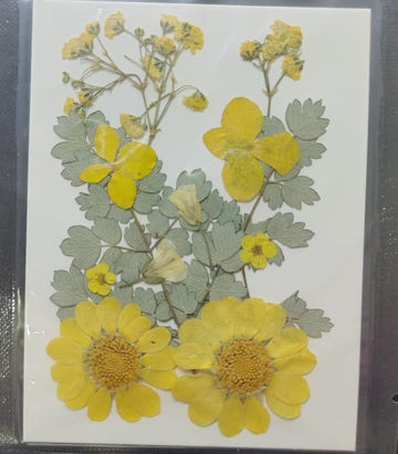 Pressed Flowers- 12