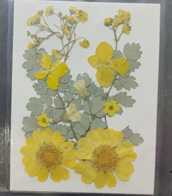Pressed Flowers- 12
