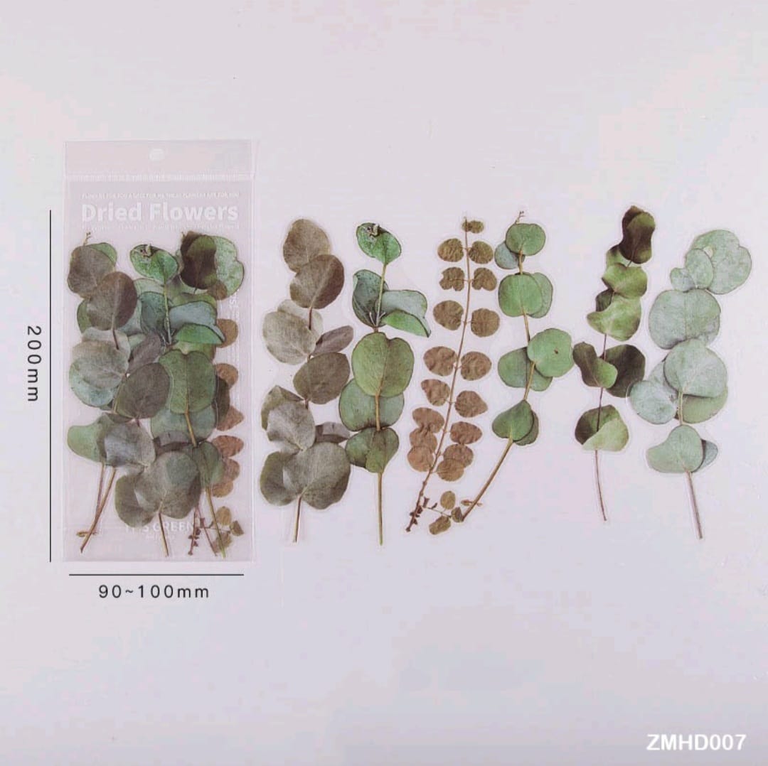 Transparent Insert Sheet Cutouts- Leaves