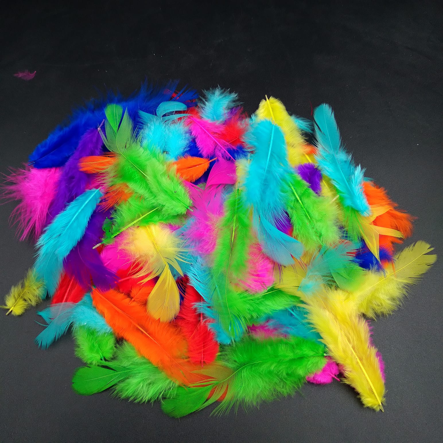 Multicolour Mini Feathers- Soft