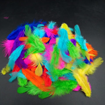 Multicolour Mini Feathers- Soft