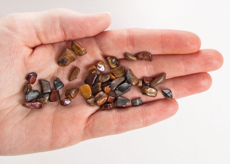Brown Shell Chips