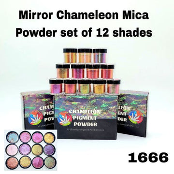 Mirror Chameleon Mica Powder set of 12 shades