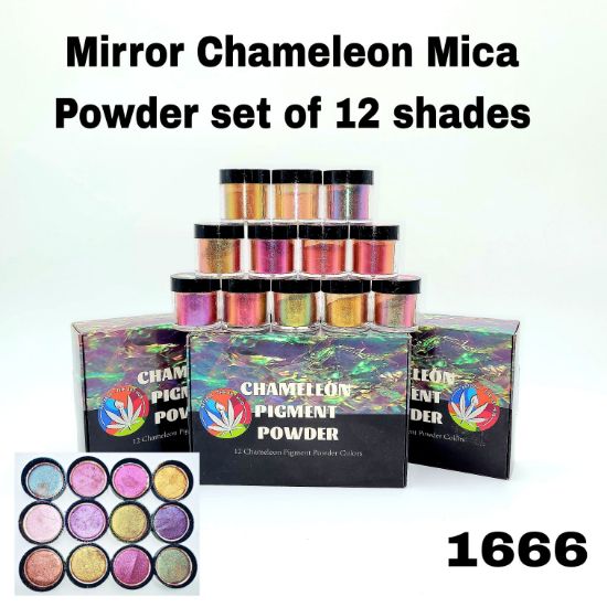 Mirror Chameleon Mica Powder set of 12 shades
