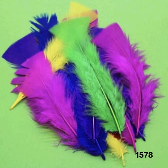 Multicolour  Big Feathers- Soft