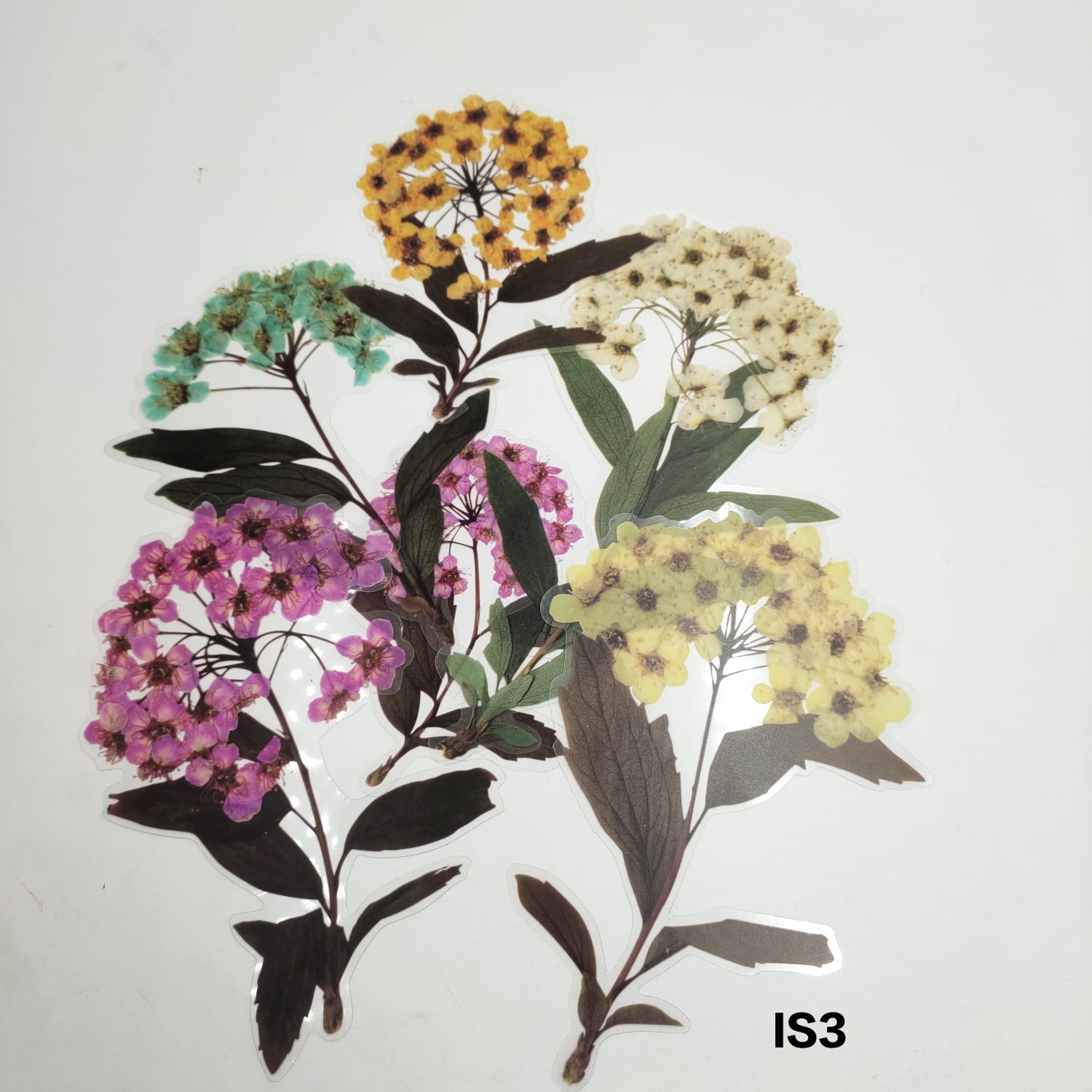 Transparent Insert Cutouts- Multi Flowers