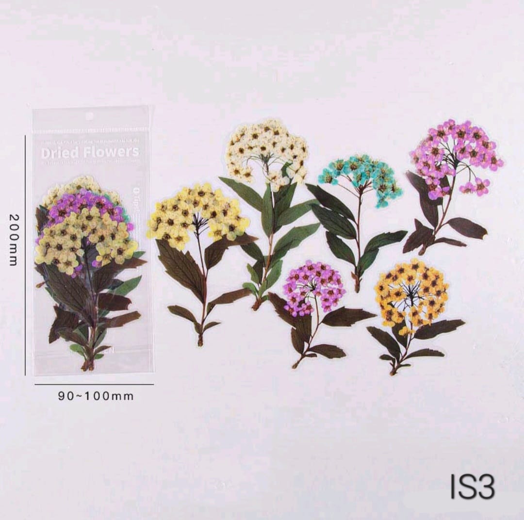 Transparent Insert Cutouts- Multi Flowers