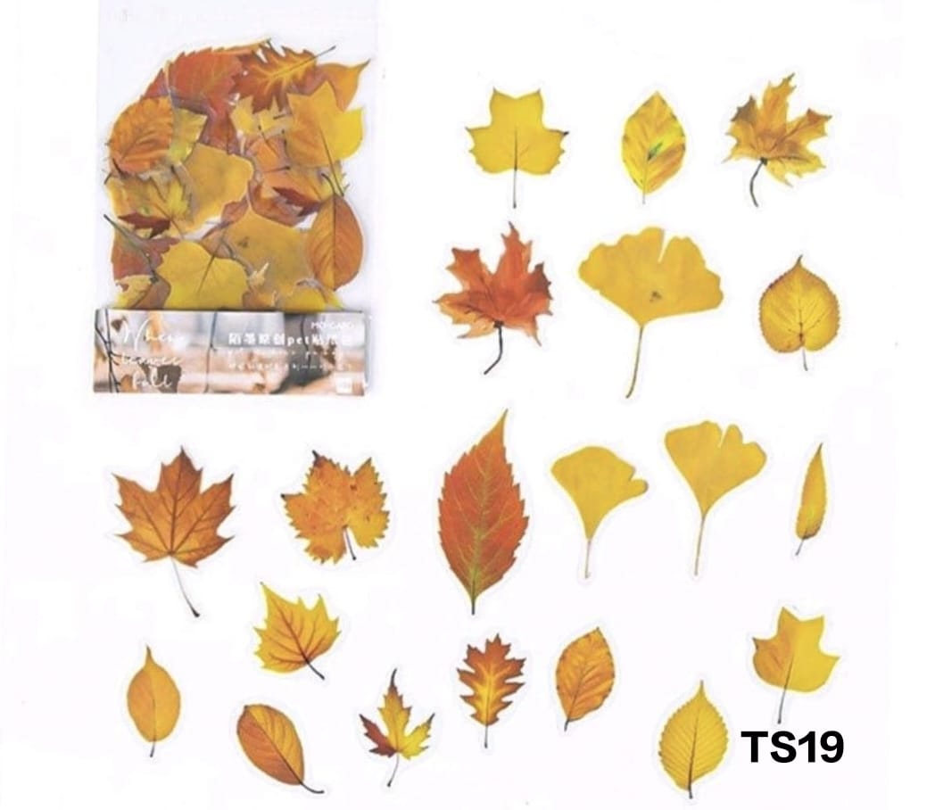 Transparent Sticker Cutouts- Colours of Fall – Arteria - the art hub