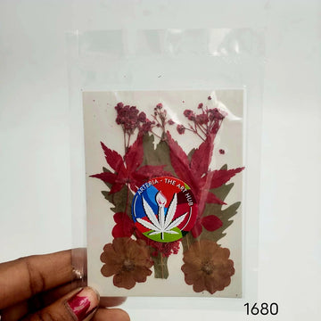 Pressed Flowers- 1680