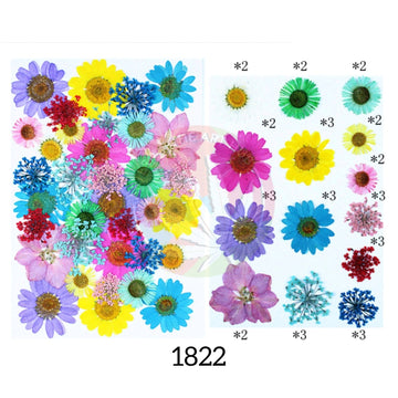 35 in 1 Pressed Flowers