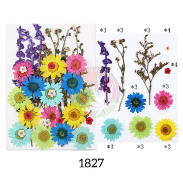 32 IN 1 Pressed Flower 2
