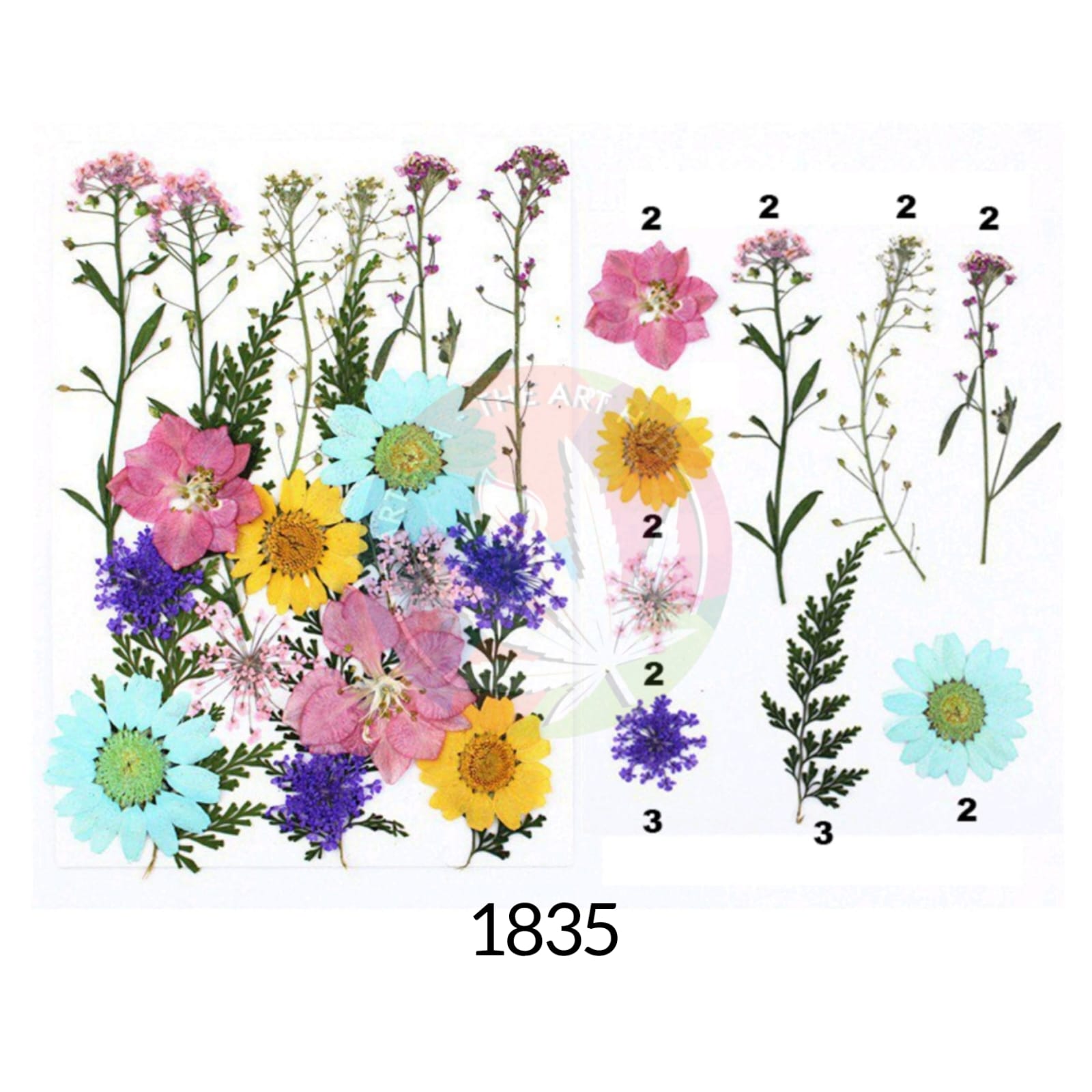 20 IN 1 Pressed Flower