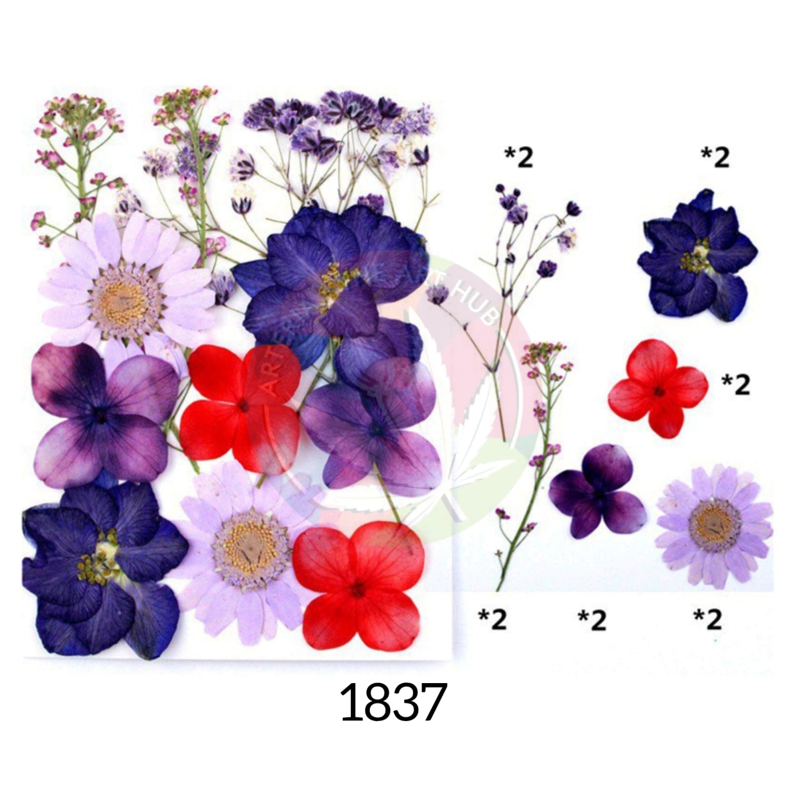 12 IN 1 Pressed Flower 1