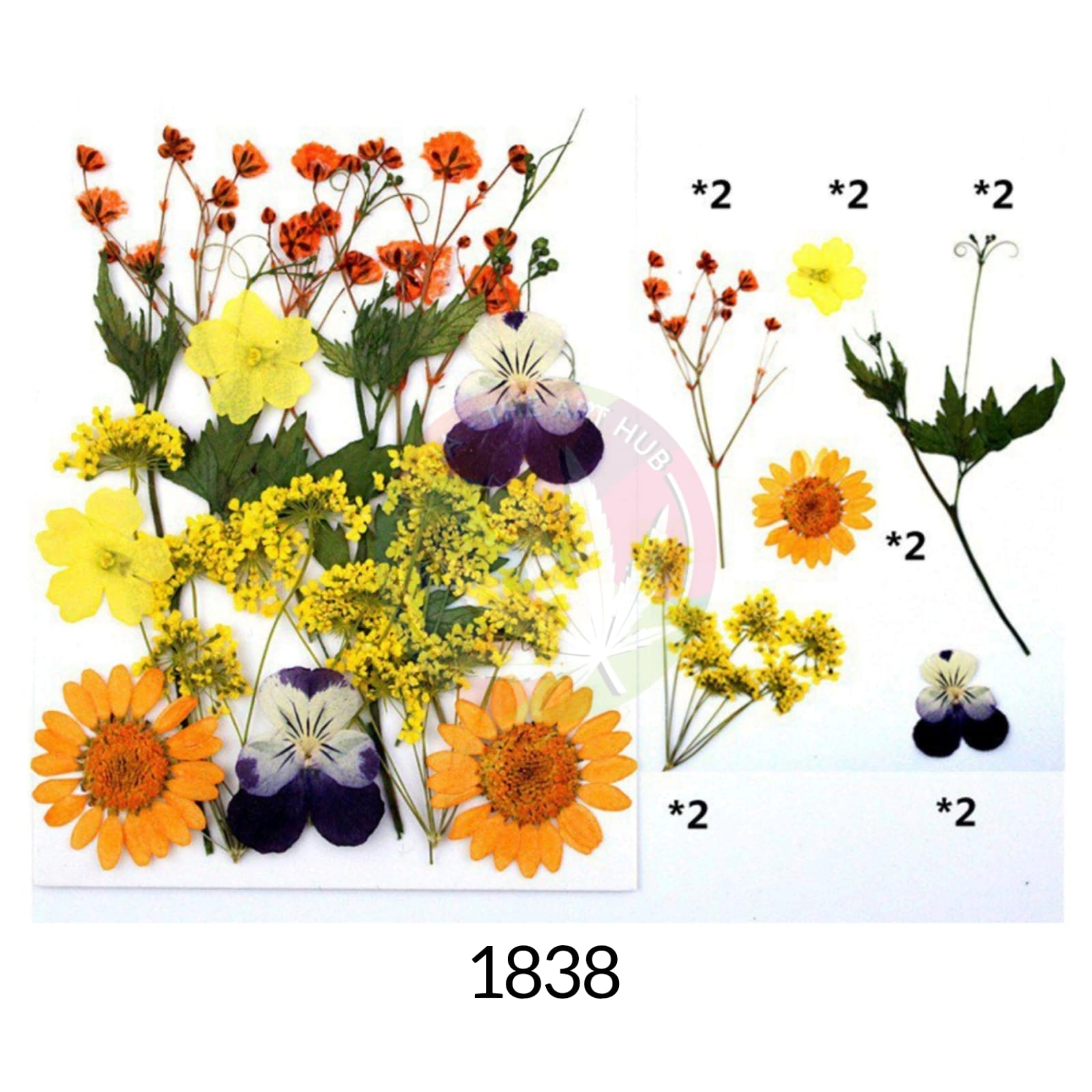 12 IN 1 Pressed Flower 2