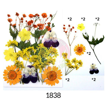 12 IN 1 Pressed Flower 2
