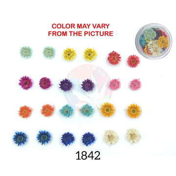 24PCS Mini mix dried Sunflower
