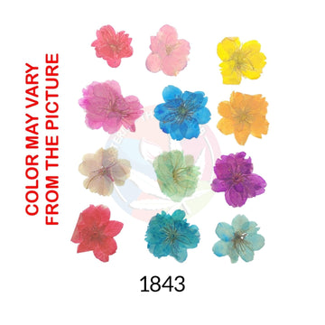 12 IN 1 Multi Cherry Blossoms Pressed Dried Flower