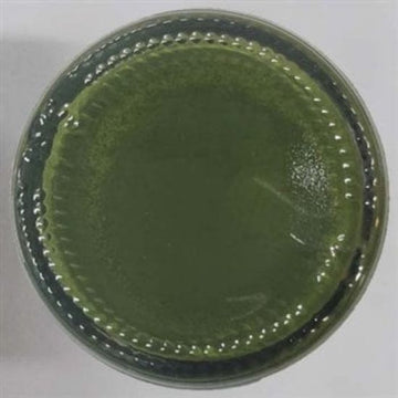Olive Green Opaque Pigment