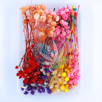 Multicolour 3D Baby Breath Box