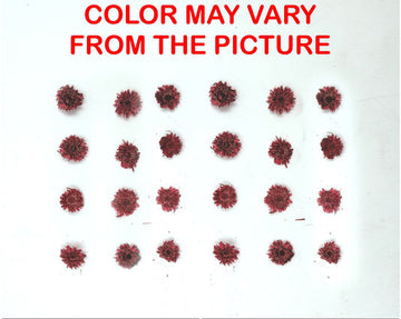 24PCS Mini dried Sunflower- Red