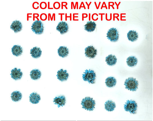 24PCS Mini dried Sunflower- Blue