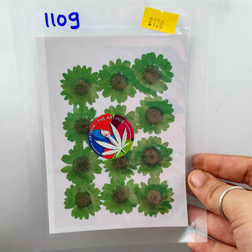Pressed Daisies Green