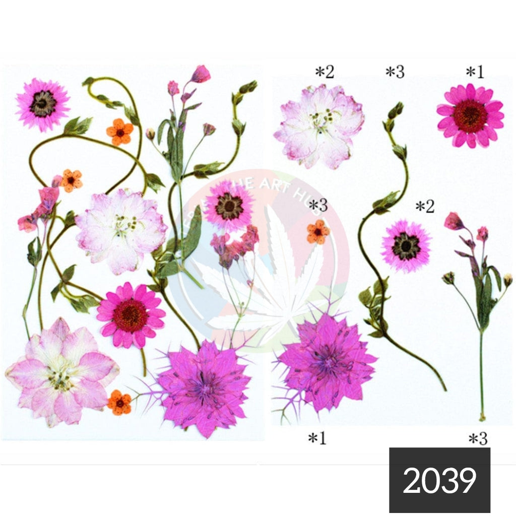 15 in 1 Pressed Flower 2