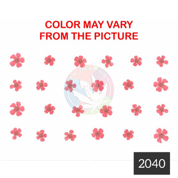 Red plum blossom pressed flower