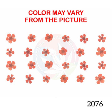 Orange plum blossom pressed flower