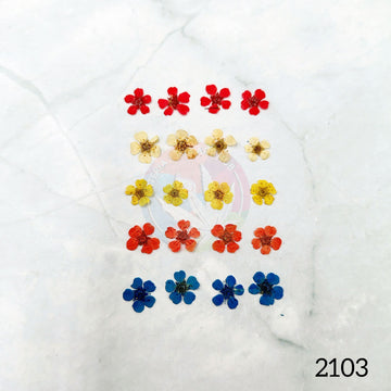 20 pc Mix Plum Blossom Pressed flower