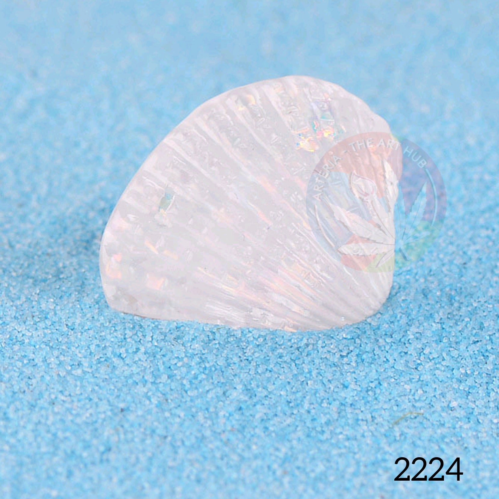 Small Shell B Miniature- White