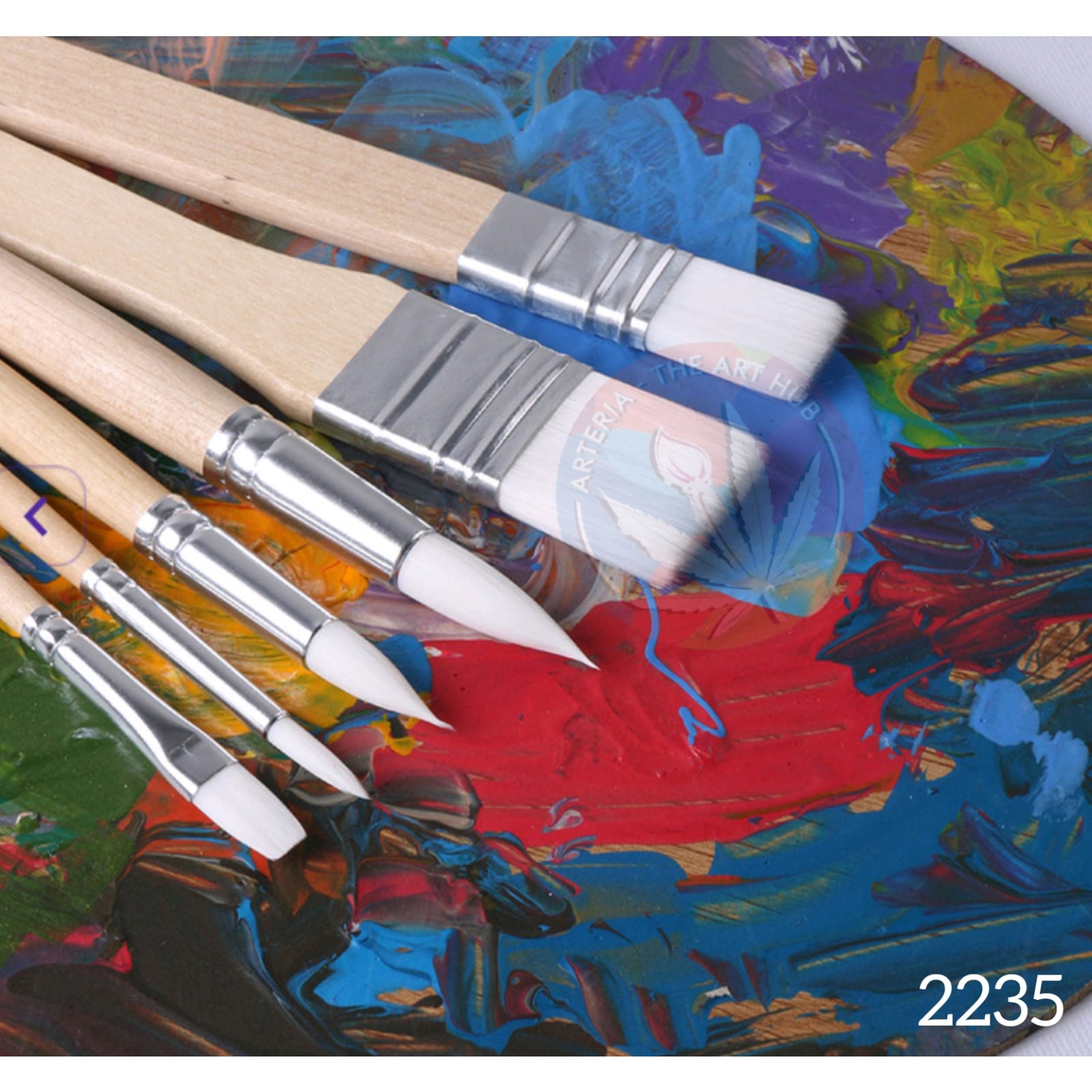 6pc art brush set