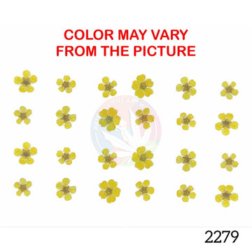 Golden Yellow plum blossom pressed flower