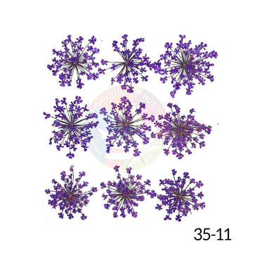 Pressed Queen Annes Lace Flowers - Purple