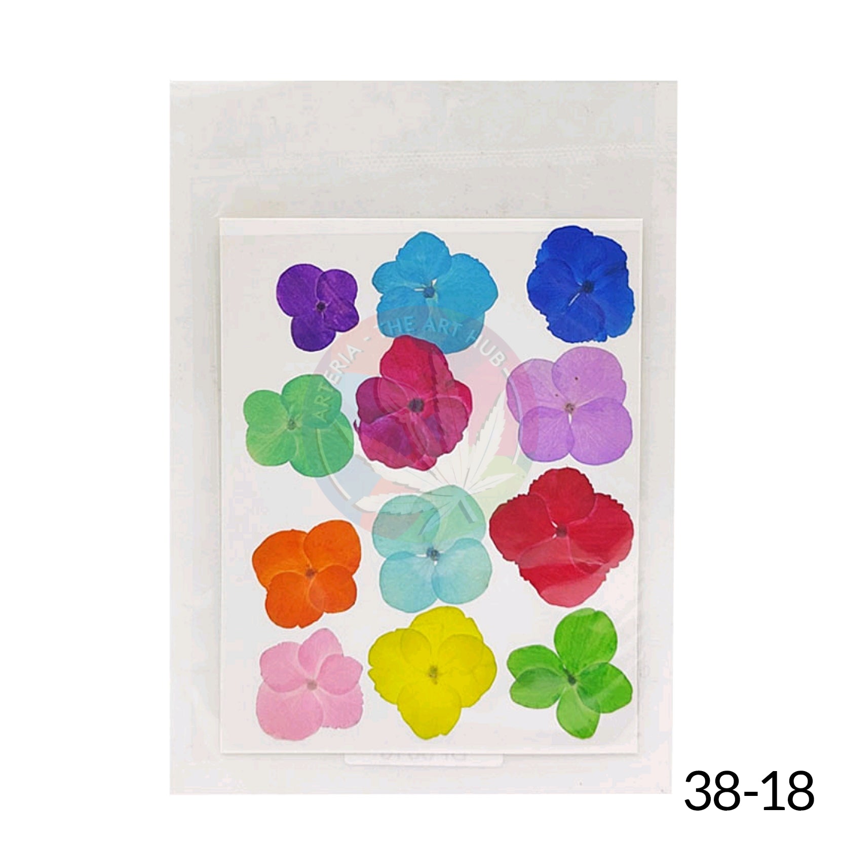 Pressed Hydrangea Dry Flower Sheet - Multi colour