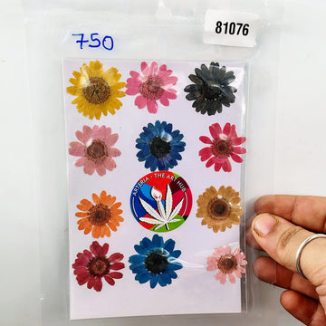 Pressed Daisies- Multicolour