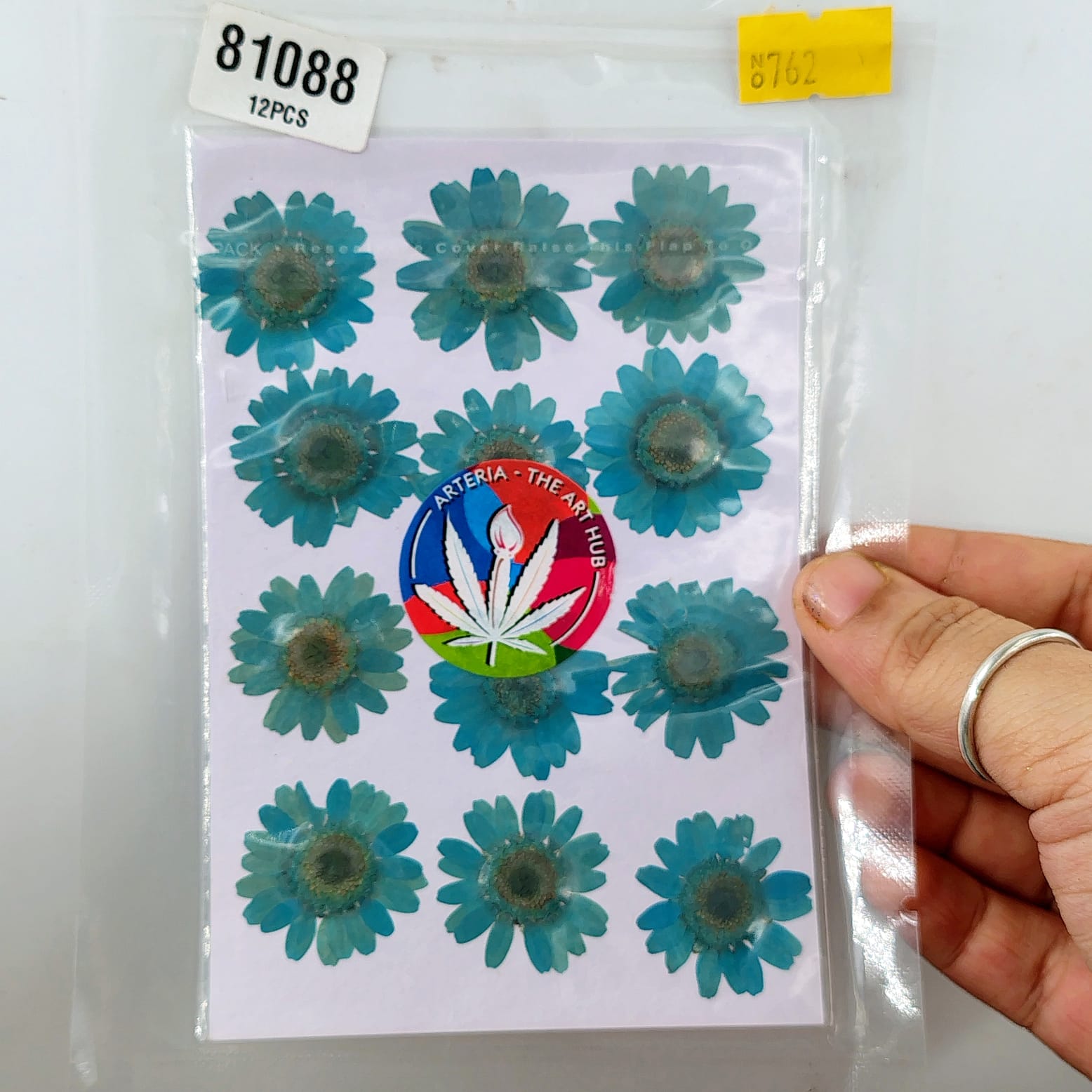 Pressed Daisies- Ferozi
