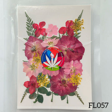 30 IN 1 Pressed Flower FL057