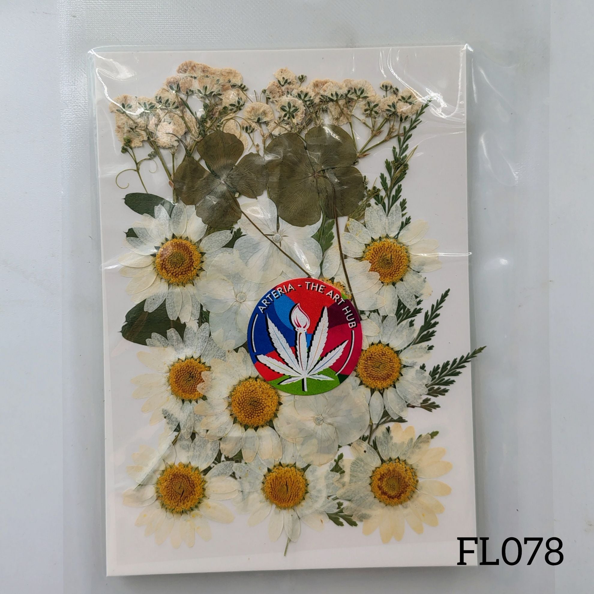30 IN 1 Pressed Flower FL078