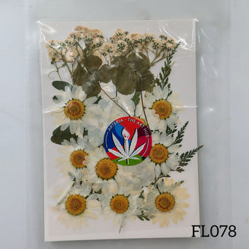 30 IN 1 Pressed Flower FL078