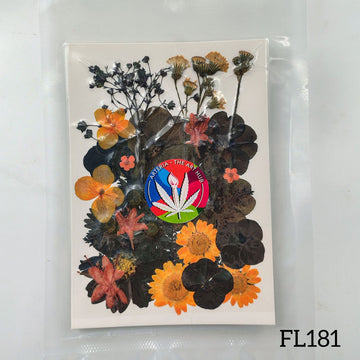 30 IN 1 Pressed Flower FL181