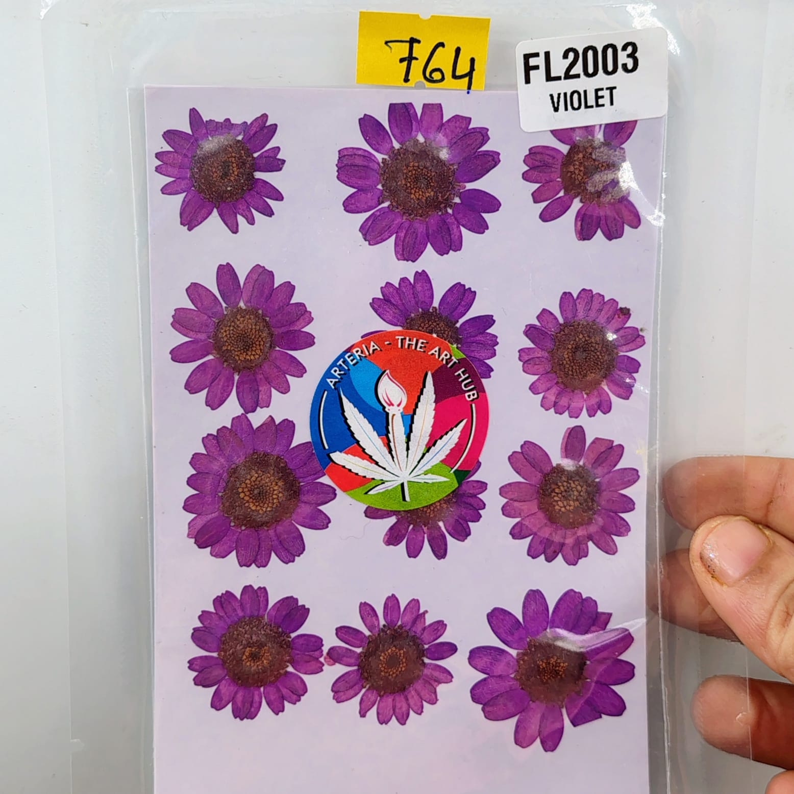 Pressed Daisies- Violet