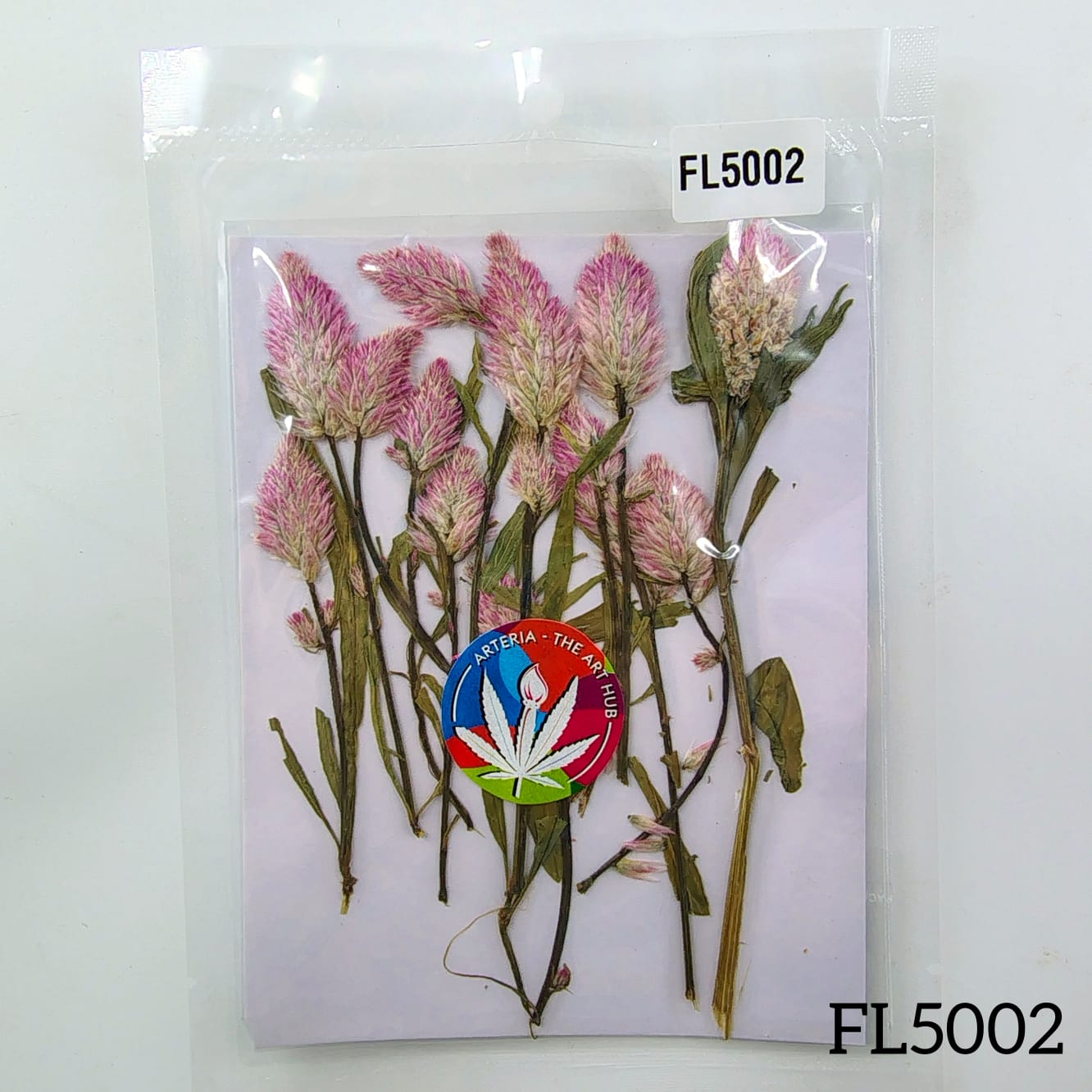 Celosia Palmeri Dry Pressed Flowers- 12 Pcs