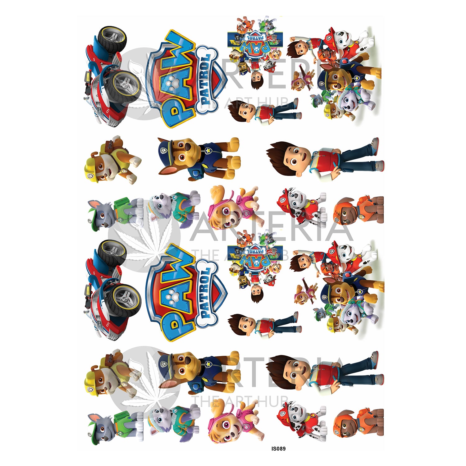 Insert Sheet- Coloured Paw Patrol