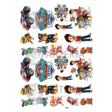 Insert Sheet- Coloured Paw Patrol