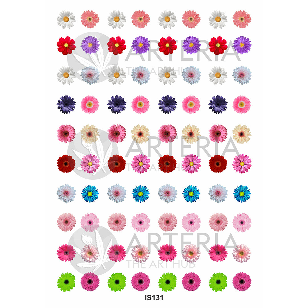 Insert Sheet- Coloured  Daisy Flower
