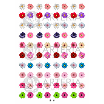 Insert Sheet- Coloured  Daisy Flower