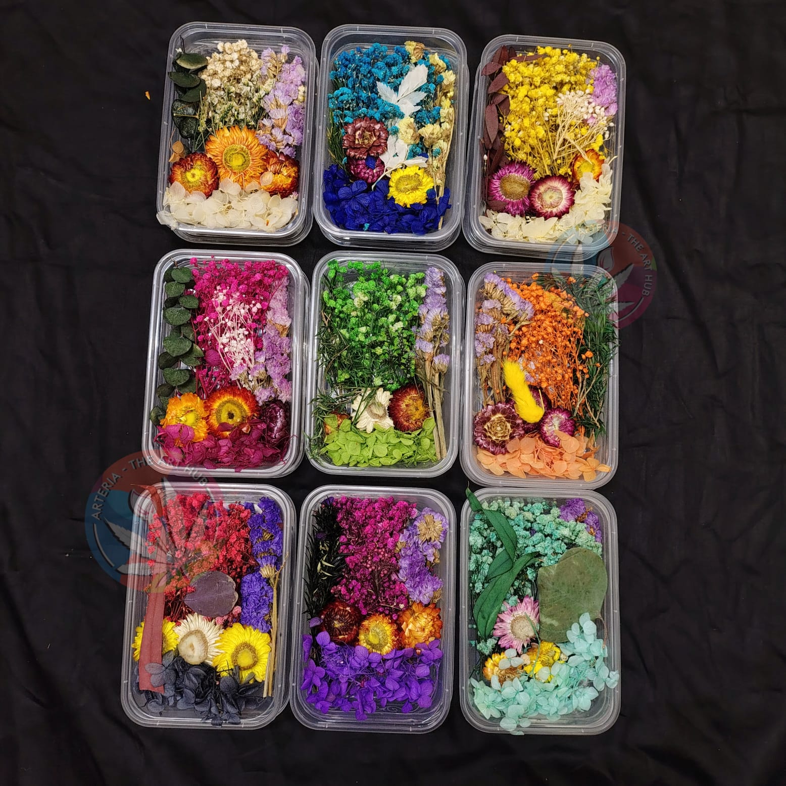 3D Dry Flower Box