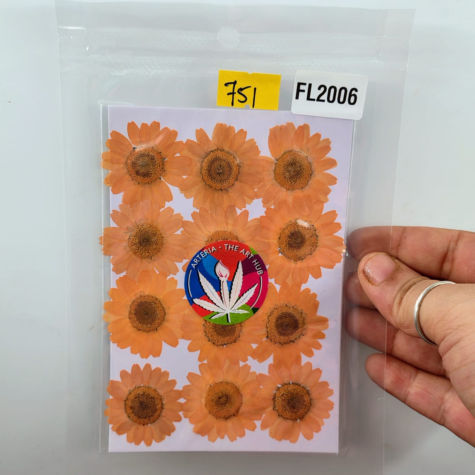 Pressed Daisies- Orange